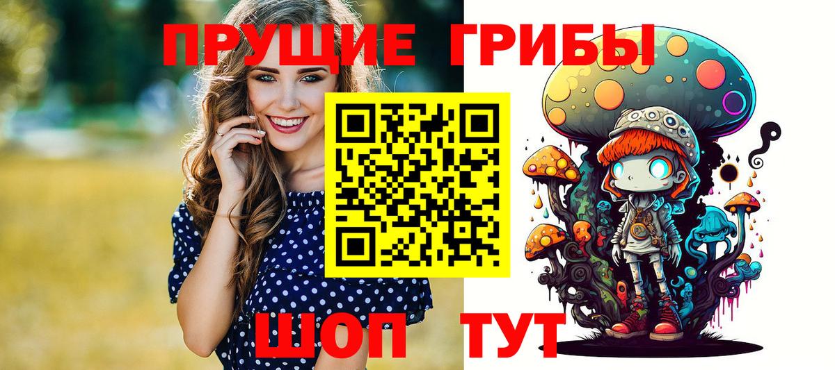 Элиста  Псилоцибиновые грибы MAGIC MUSHROOMS  Вход с VPN 