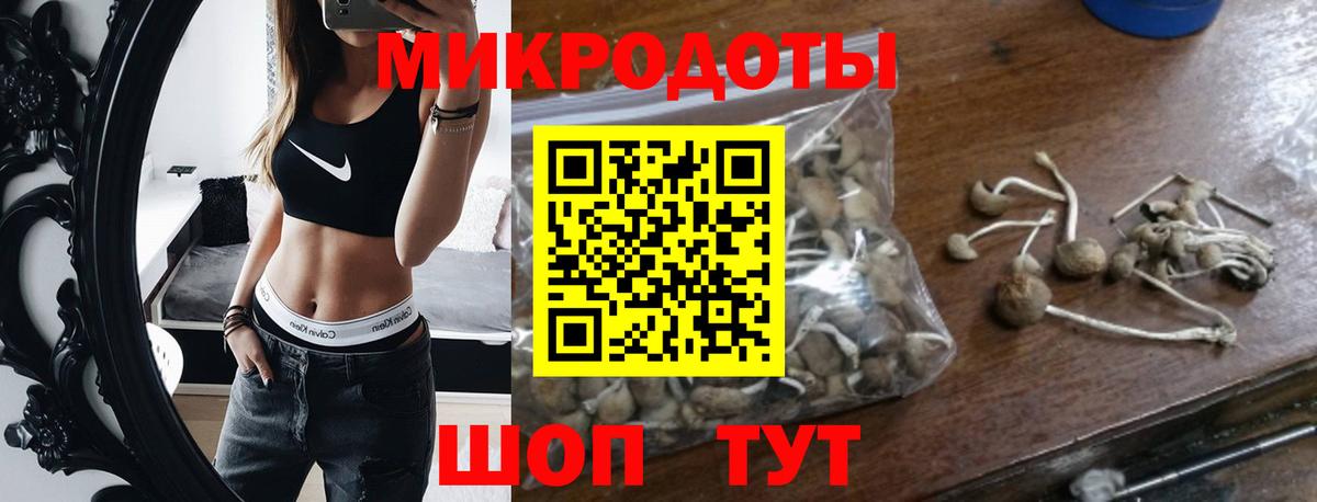 Галлюциногенные грибы Magic Shrooms Элиста